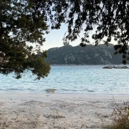 4 Pieces Avec Terrasse, Piscine Et Parking - Porto-vecchio - Fr-1-62-163 בית נופש